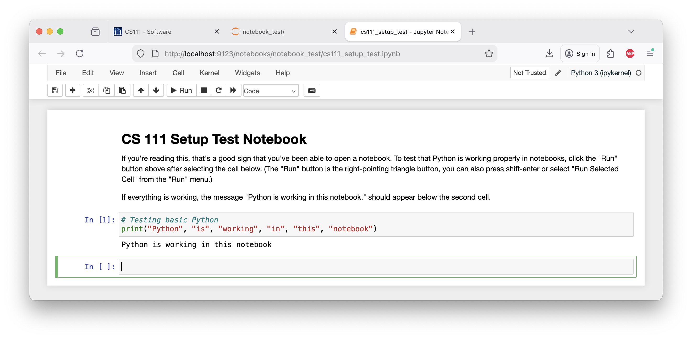 Jupyter setup_test_notebook start state
