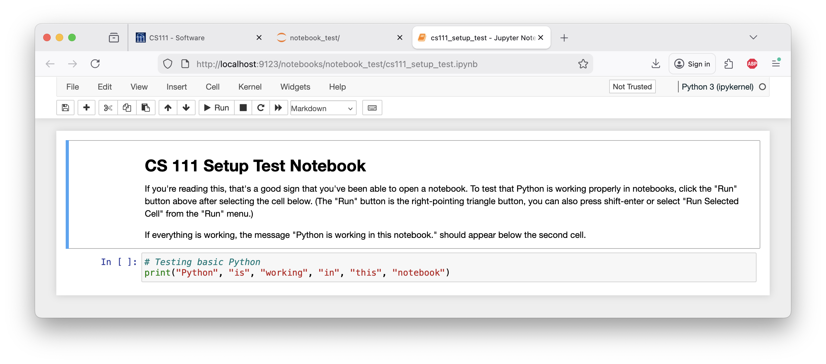Jupyter setup_test_notebook start state