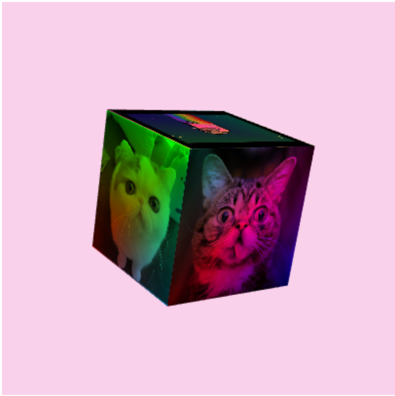 Cat Cube