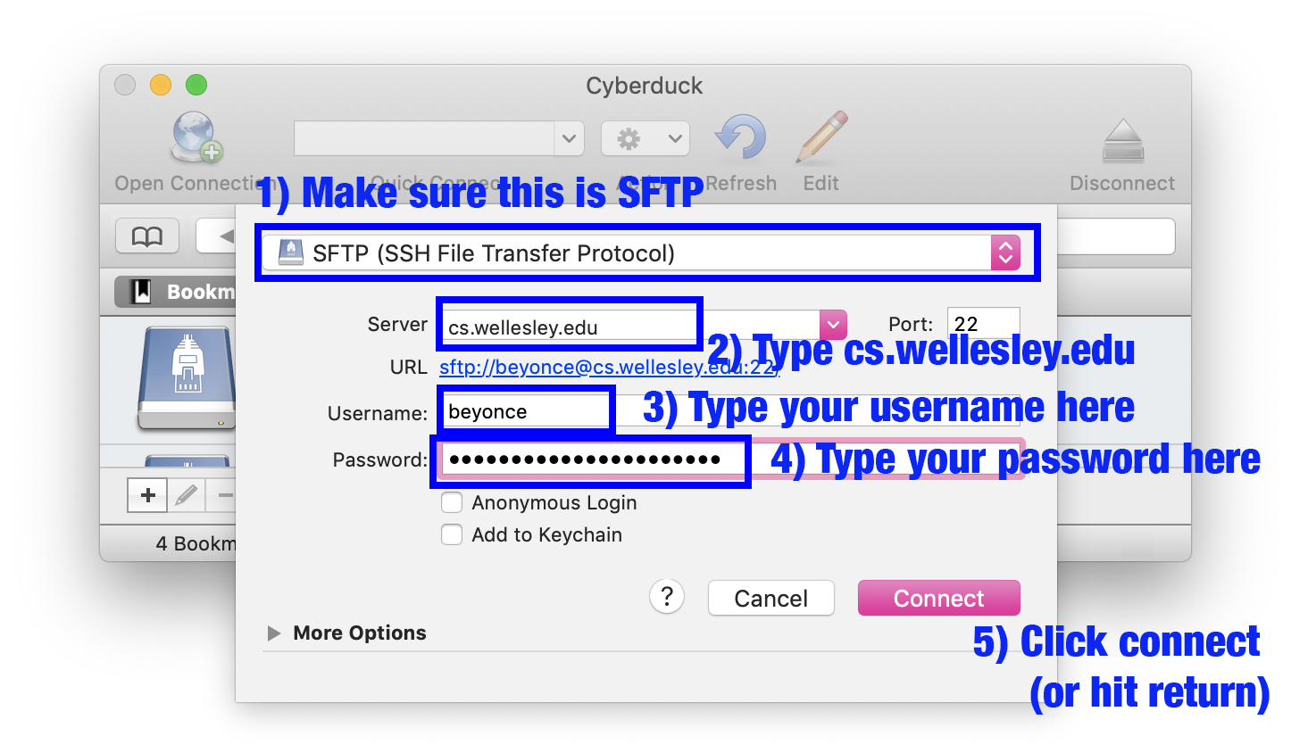 Instructions for the Open Connection dialog described above. 5 Steps: 1. Navigate to the Protocol selector at the top, and make sure that “SFTP (SSH File Transfer Protocol)” is selected. 2. Tab or navigate to the next input for Server, and type out “cs.wellesley.edu”. 3. Skip the Port input and the URL text, and navigate to the Username input; enter your CS account username (your Wellesley email without the “@wellesley.edu” part). 4. Navigate to the next input for Password, and enter your CS account password (NOT your main Wellesley password). 5. Navigate to the Connect button near the end of the form, and activate it to open the connection, or just press Enter.