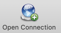 The Open Connection icon in Cyberduck. It is the first element within the window's first toolbar.
