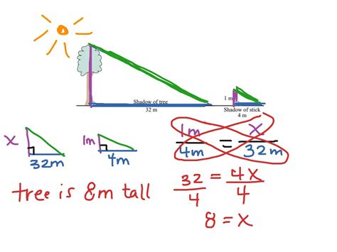 A tree's shadow forms a triangle with the tree itself, and a stick will form a similar triangle. The stick is 1m tall and casts a 4m shadow, and the tree casts a 32m shadow, with x being the height of the tree. The ratio 1m:4m is equal to the ratio x:32m, and cross-multiplication gives 32=4x, which simplifies to 8=x, so the tree is 8m tall.