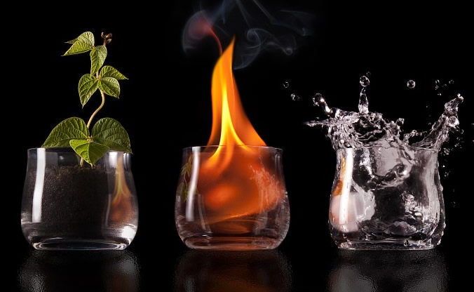 a plant, some fire, and some water each in a glass
