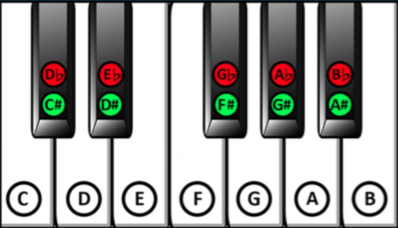 Image showing 7 white piano keys and 5 black keys starting at C; white keys are labeled by plain notes, and black keys are labeled with sharps and flats. The keys in order are: C, C-sharp-or-D-flat, D, D-sharp-or-E-flat, E, F, F-sharp-or-G-flat, G, G-sharp-or-A-flat, A, A-sharp-or-B-flat, B. Note the absence of a sharp-or-flat (i.e., black) key between E and F, and above B (which would lie between B and the next-higher C).
